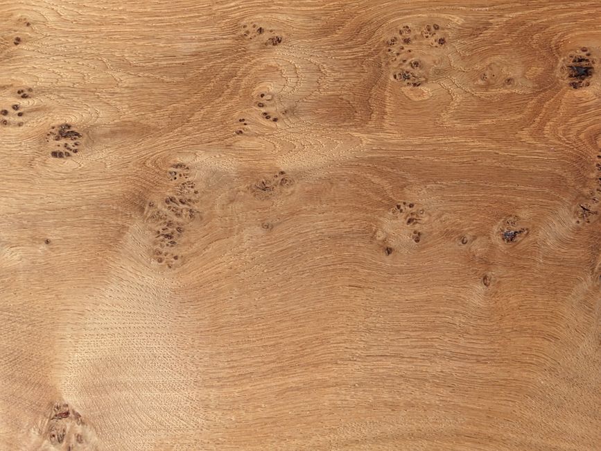Close-up of a rich oak wood texture showcasing natural knots and grain patterns.